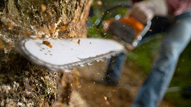 Chainsaw
